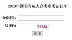 <b>2019年湖北省成人高考准考证打印入口</b>