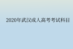 2020年武汉成人高考考试科目
