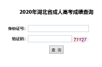 2020年武汉成人高考成绩查询入口已开通