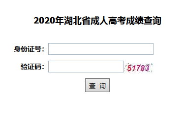 2020年武汉理工大学成人高考成绩查询入口已公布