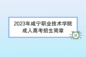2023年咸宁职业技术学院成人高考招生简章