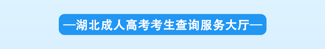 湖北成考网服务大厅