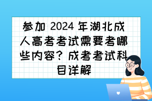 参加2024年湖北成人高考考试需要考哪些内容？成考考试科目详解