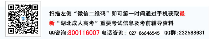 湖北成考网微信