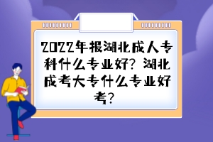 2022年报湖北成人专科什么专业好？湖北成考大专什么专业好考？