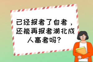 已经报考了自考，还能再报考湖北成人高考吗？