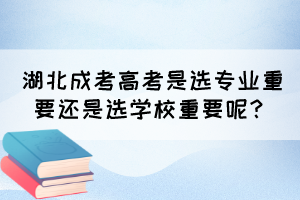 湖北成考高考是选专业重要还是选学校重要呢？