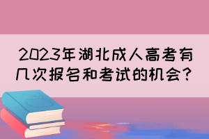 2023年湖北成人高考有几次报名和考试的机会？