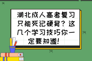 湖北成人高考复习只能死记硬背？这几个学习技巧你一定要知道！