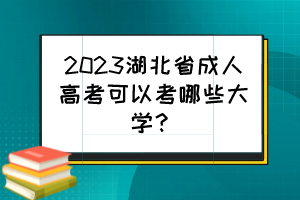 2023湖北省成人高考可以考哪些大学？