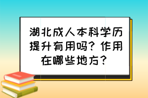 湖北成人本科学历提升有用吗？作用在哪些地方？