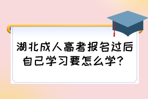 湖北成人高考报名过后自己学习要怎么学？