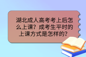 湖北成人高考考上后怎么上课？成考生平时的上课方式是怎样的？