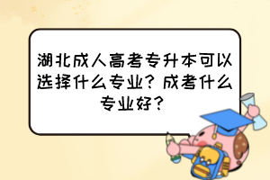 湖北成人高考专升本可以选择什么专业？成考什么专业好？