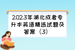 2023年湖北成考专升本英语精选试题及答案（3）