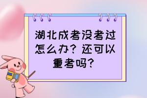 湖北成考没考过怎么办？还可以重考吗？