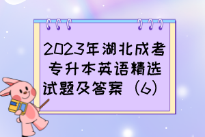 2023年湖北成考专升本英语精选试题及答案（6）