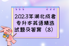 2023年湖北成考专升本英语精选试题及答案（8）