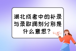 湖北成考中的补录与录取调剂分别是什么意思？