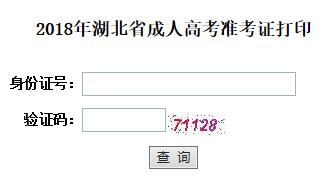 2018年湖北省成人高考准考证打印入口
