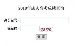 2018年宜昌成人高考成绩查询入口已开通：11月21号