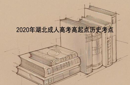 2020年湖北成人高考高起点历史考点:元朝