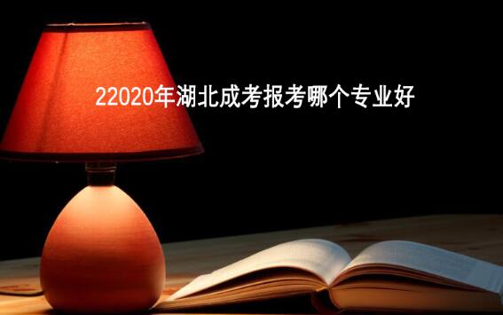 2020年湖北成考报考哪个专业好呢？