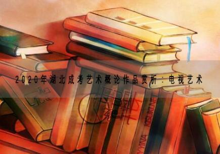 2020年湖北成考艺术概论作品赏析：电视艺术
