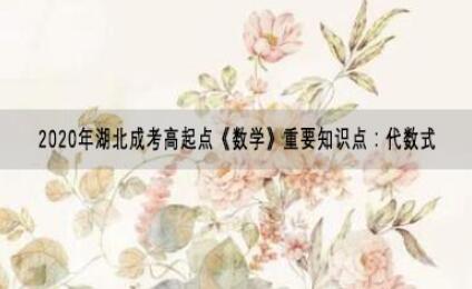 2020年湖北成考高起点《数学》重要知识点：代数式