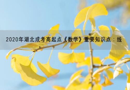 2020年湖北成考高起点《数学》重要知识点：线