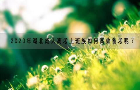 2020年湖北成人高考上班族如何高效备考呢？