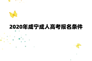 2020年咸宁成人高考报名条件