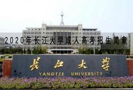 2020年长江大学成人高考招生简章