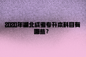 2020年湖北成考专升本科目有哪些？