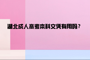 湖北成人高考本科文凭有用吗？