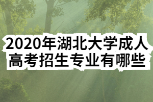 2020年湖北大学成人高考招生专业有哪些