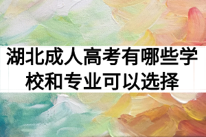 2020年湖北成人高考有哪些学校和专业可以选择