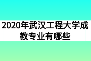 2020年武汉工程大学成教专业有哪些