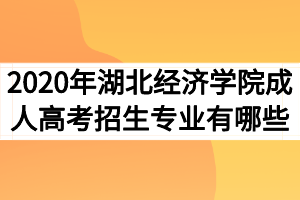 2020年湖北经济学院成人高考招生专业有哪些