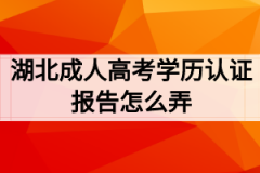 湖北成人高考学历认证报告怎么弄