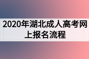 2020年湖北成人高考网上报名流程