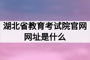 湖北省教育考试院官网网址是什么？