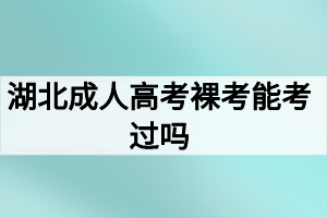 湖北成人高考裸考能考过吗？