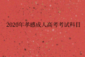2020年孝感成人高考考试科目
