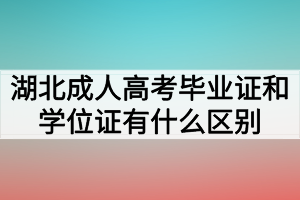 湖北成人高考毕业证和学位证有什么区别？哪个含金量更高