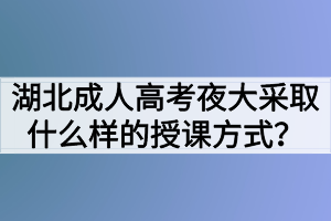 湖北成人高考夜大采取什么样的授课方式？