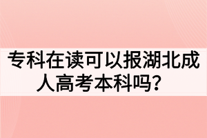 专科在读可以报湖北成人高考本科吗？