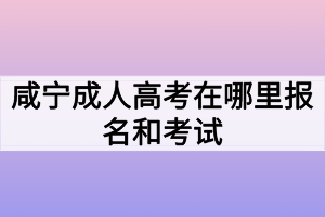 咸宁成人高考在哪里报名和考试
