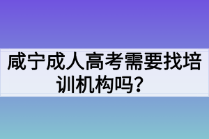 咸宁成人高考需要找培训机构吗？
