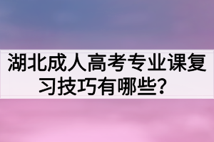 湖北成人高考专业课复习技巧有哪些？